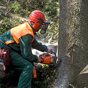 Residential, Commercial & Local Authority Tree Surgery: Fircroft Tree Surgery Ltd