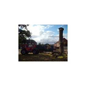 Tree surgeon Hertfordshire: Fircroft Tree Surgery Ltd