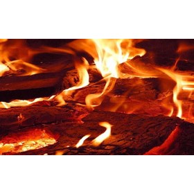 Quality Fire Wood & Logs for Sale Hertfordshire: Fircroft Tree Surgery Ltd